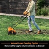image:imageLawnMaster 48V MAX Brushless 16 Scarifier amp Dethatcher CLGVB4816S
