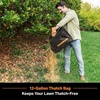 image:imageLawnMaster 48V MAX Brushless 16 Scarifier amp Dethatcher CLGVB4816S